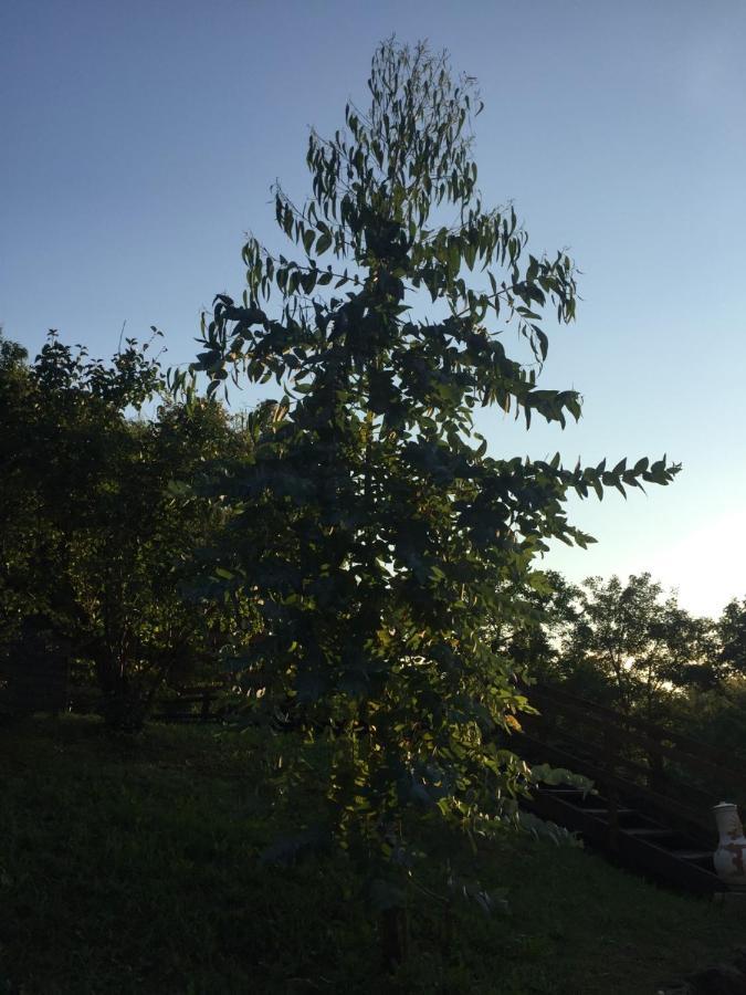 Au Son De L Angelus Bed & Breakfast Moncrabeau ภายนอก รูปภาพ